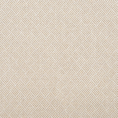 Robert Allen Fabrics Fabrics -65001LD | 1-DRIFTWOOD
