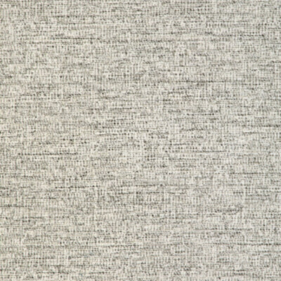 KRAVET FABRICS-36883.1101.0