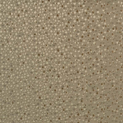 Highland Court Fabrics Fabrics -800264H | 88-CHAMPAGNE