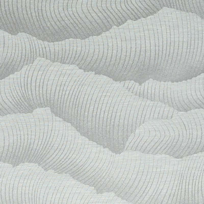 Bailey & Griffin Fabrics Fabrics -BR61507 | 118-LINEN
