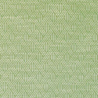 Duralee Fabrics -DI61592 | 303-FERN