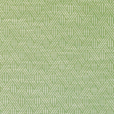 Duralee Fabrics -DI61592 | 303-FERN