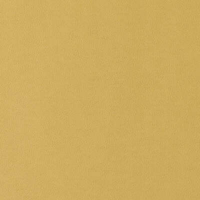 Duralee Fabrics -90949 | 258-MUSTARD