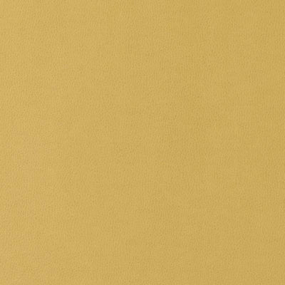 Duralee Fabrics -90949 | 258-MUSTARD