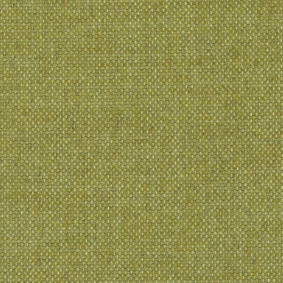 Duralee Fabrics -90932 | 303-FERN