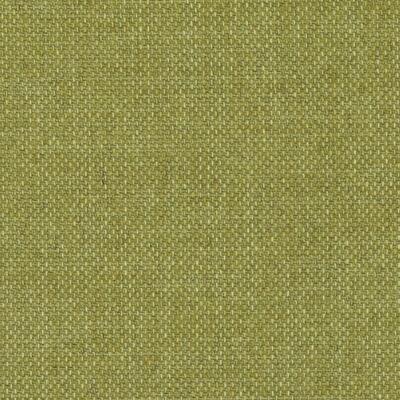 Duralee Fabrics -90932 | 303-FERN