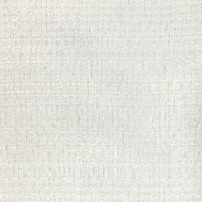 KRAVET FABRICS-4889.101.0