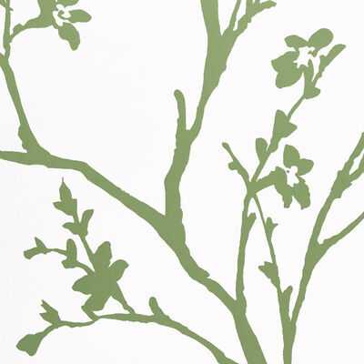 Schumacher Wallcovering -TWIGGY-5003345