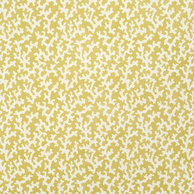 Schumacher Wallcovering -FOLLY-5008007