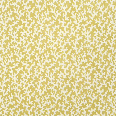 SCHUMACHER WALLCOVERING -FOLLY-5008007