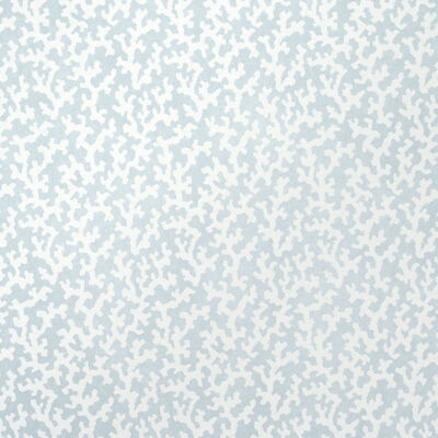 Schumacher Wallcovering -FOLLY-5008009