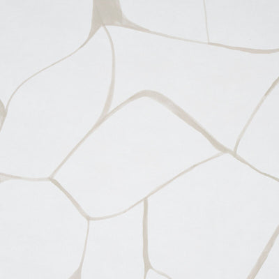 SCHUMACHER WALLCOVERING -FILIGREE-5009701
