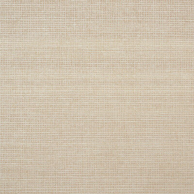 Schumacher Wallcovering -VALENTIN-5010061