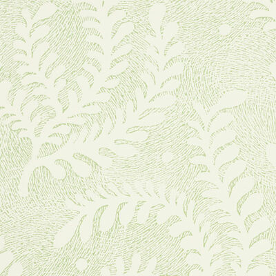 Schumacher Wallcovering -ETCHED FERN-5010381