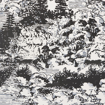SCHUMACHER WALLCOVERING -MODERN TOILE-5010420