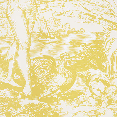 SCHUMACHER WALLCOVERING -MODERN TOILE-5010422