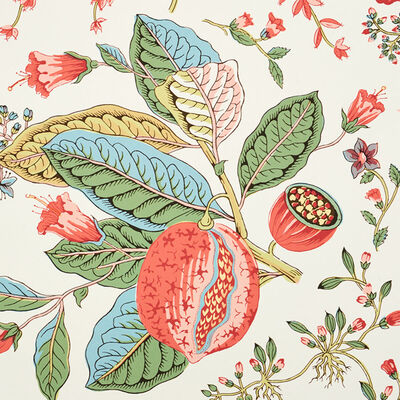 Schumacher Wallcovering -POMEGRANATE BOTANICAL-5010441