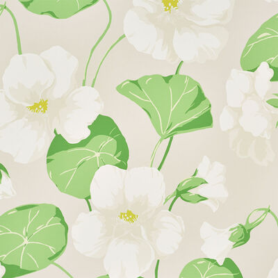 Schumacher Wallcovering -NASTURTIUM-5010472
