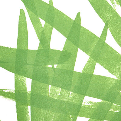Schumacher Wallcovering -SUNLIT PALM-5010560
