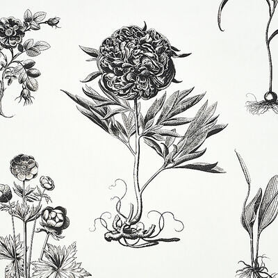 Schumacher Wallcovering -CABOT BOTANICAL LARGE-5010640