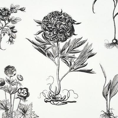 SCHUMACHER WALLCOVERING -CABOT BOTANICAL LARGE-5010640