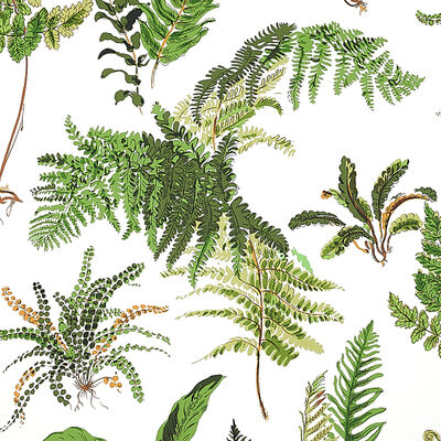 Schumacher Wallcovering -LES FOUGERES-5010660