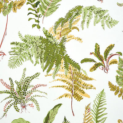 SCHUMACHER WALLCOVERING -LES FOUGERES-5010661