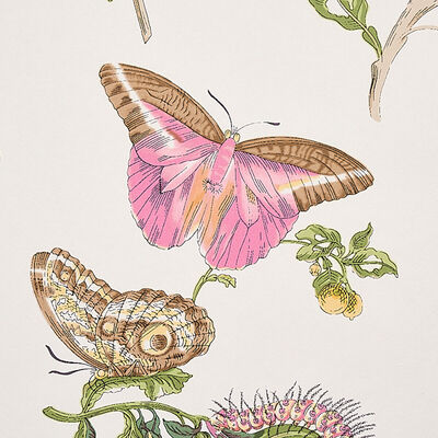 Schumacher Wallcovering -BAUDIN BUTTERFLY-5010690