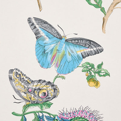 SCHUMACHER WALLCOVERING -BAUDIN BUTTERFLY-5010691