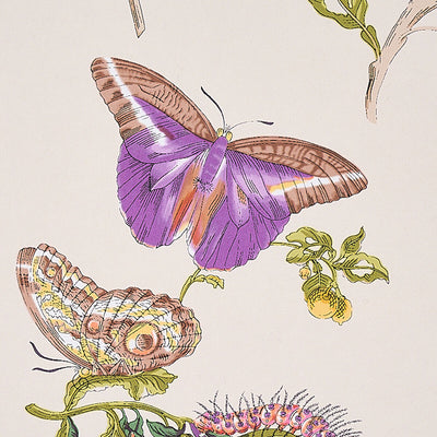 SCHUMACHER WALLCOVERING -BAUDIN BUTTERFLY-5010692