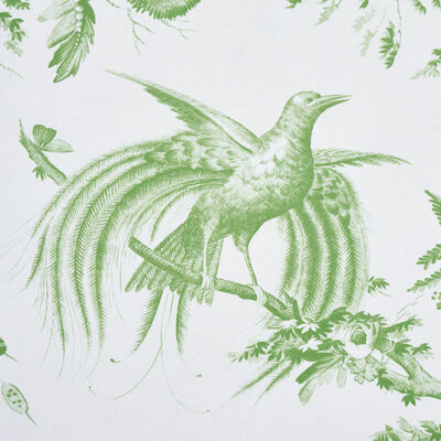 Schumacher Wallcovering -TOILE DE LA PRAIRIE-5011710