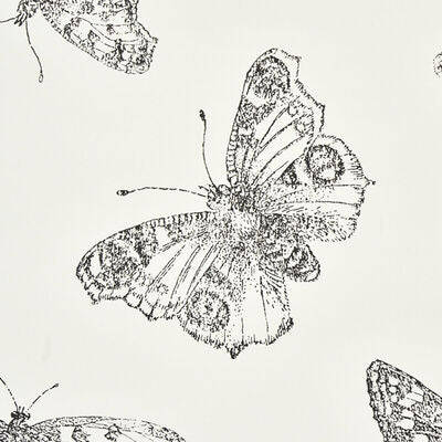 Schumacher Wallcovering -BURNELL BUTTERFLY-5011740