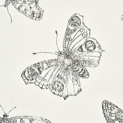 SCHUMACHER WALLCOVERING -BURNELL BUTTERFLY-5011740