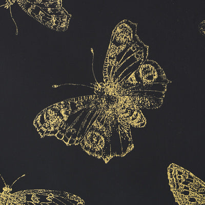 SCHUMACHER WALLCOVERING -BURNELL BUTTERFLY-5011742