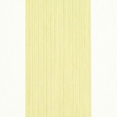 Schumacher Wallcovering -EDWIN STRIPE WIDE-5011908