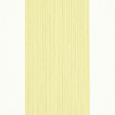 SCHUMACHER WALLCOVERING -EDWIN STRIPE WIDE-5011908