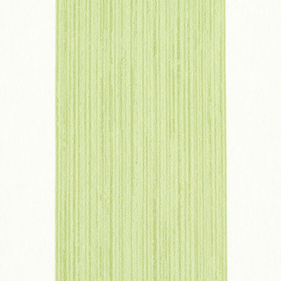 SCHUMACHER WALLCOVERING -EDWIN STRIPE WIDE-5011909