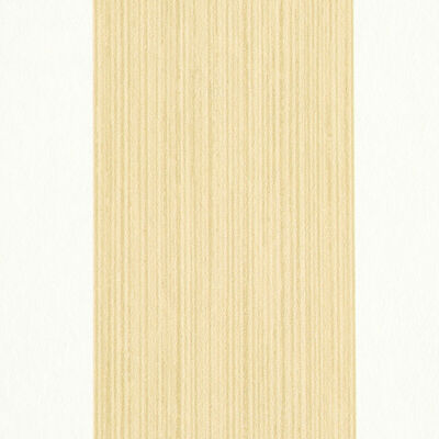 Schumacher Wallcovering -EDWIN STRIPE WIDE-5011911