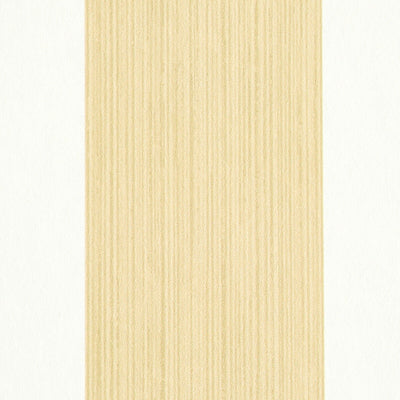 SCHUMACHER WALLCOVERING -EDWIN STRIPE WIDE-5011911