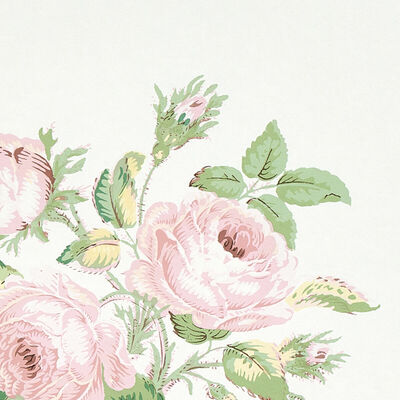 Schumacher Wallcovering -LOUDON ROSE-5012031