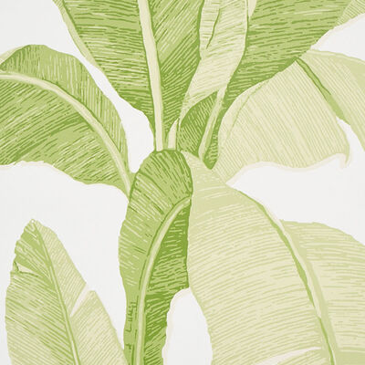 Schumacher Wallcovering -ERISIMO-5012110