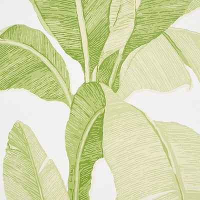 SCHUMACHER WALLCOVERING -ERISIMO-5012110