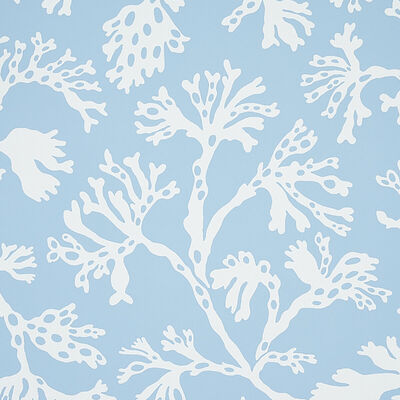Schumacher Wallcovering -ANTHOZA-5012130