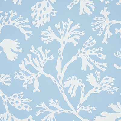 SCHUMACHER WALLCOVERING -ANTHOZA-5012130