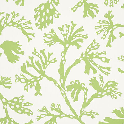 Schumacher Wallcovering -ANTHOZA-5012131