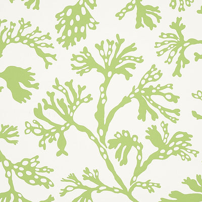 SCHUMACHER WALLCOVERING -ANTHOZA-5012131