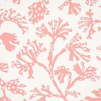 SCHUMACHER WALLCOVERING -ANTHOZA-5012132