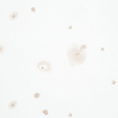 Schumacher Wallcovering -STELLAR-5012190