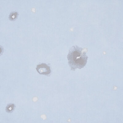 Schumacher Wallcovering -STELLAR-5012192