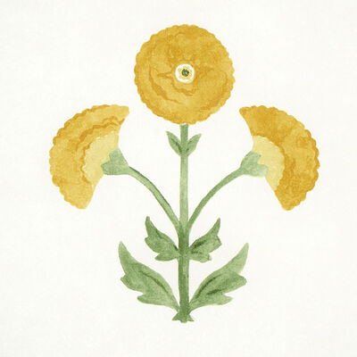 Schumacher Wallcovering -SARANDA FLOWER-5012411